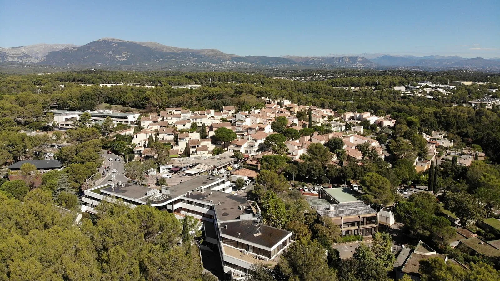 Vue aérienne du quartier du Haut-Sartoux à Sophia Antipolis, bâtiments et résidences dans la pinède avec les Préalpes d'Azur à l'horizon