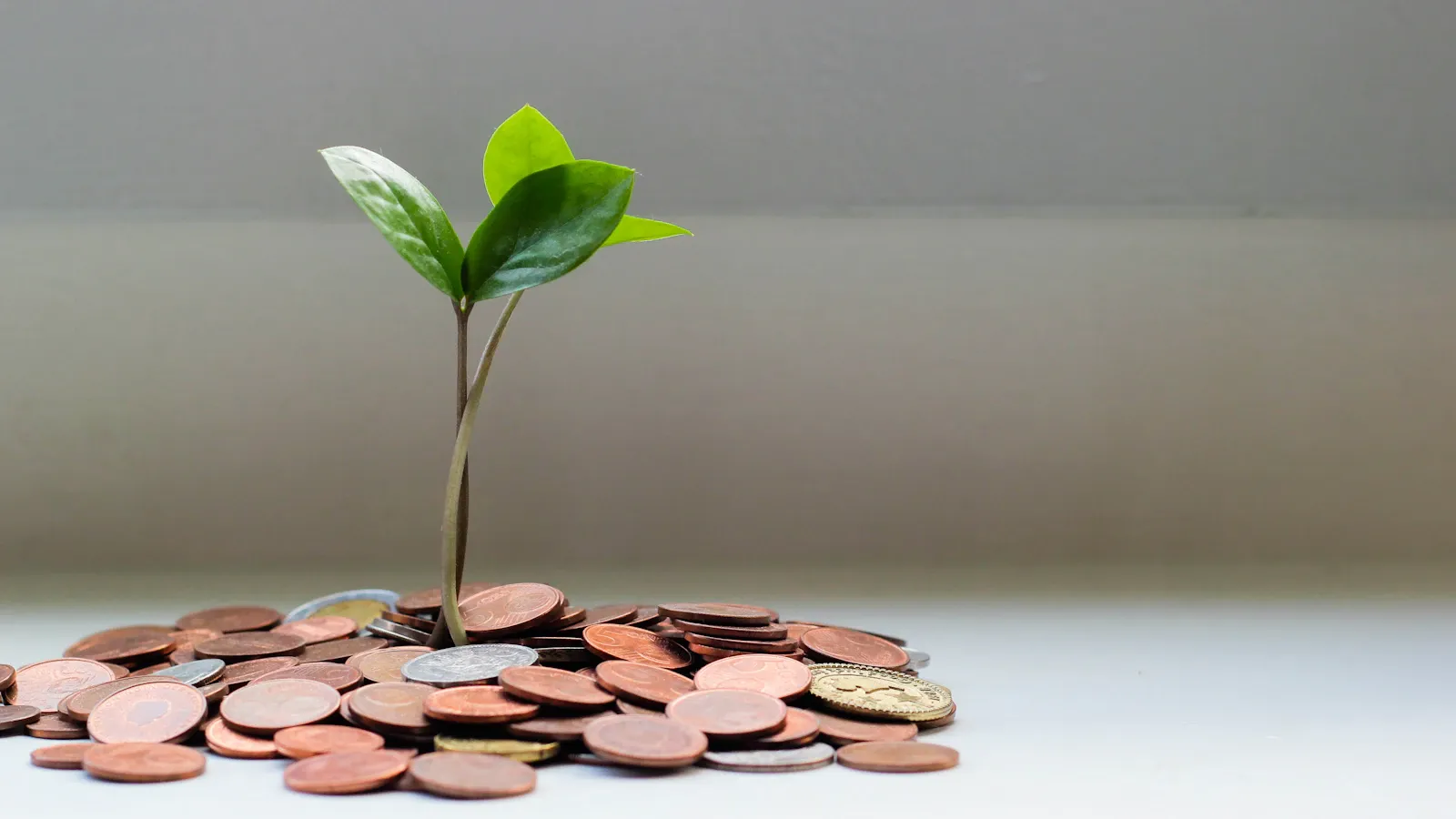 TVA et subventions : quand faut-il l'appliquer ?